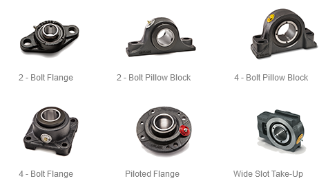 Moline Bearings